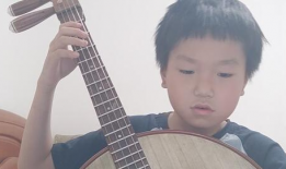 中阮初级入门教学视频,中阮初级入门教学视频要点梳理